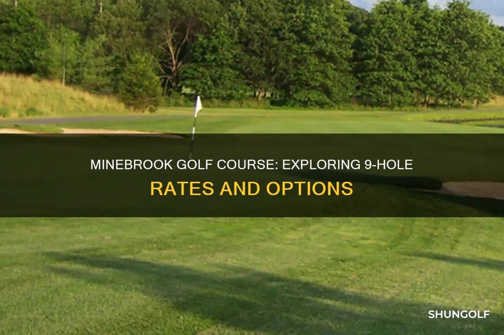 does minebrook golf course have 9 hole rates