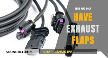 Golf MK7 Exhaust Flaps: Are They a Feature?