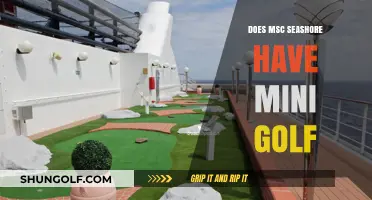 Mini Golf Fun on MSC Seashore: What to Expect