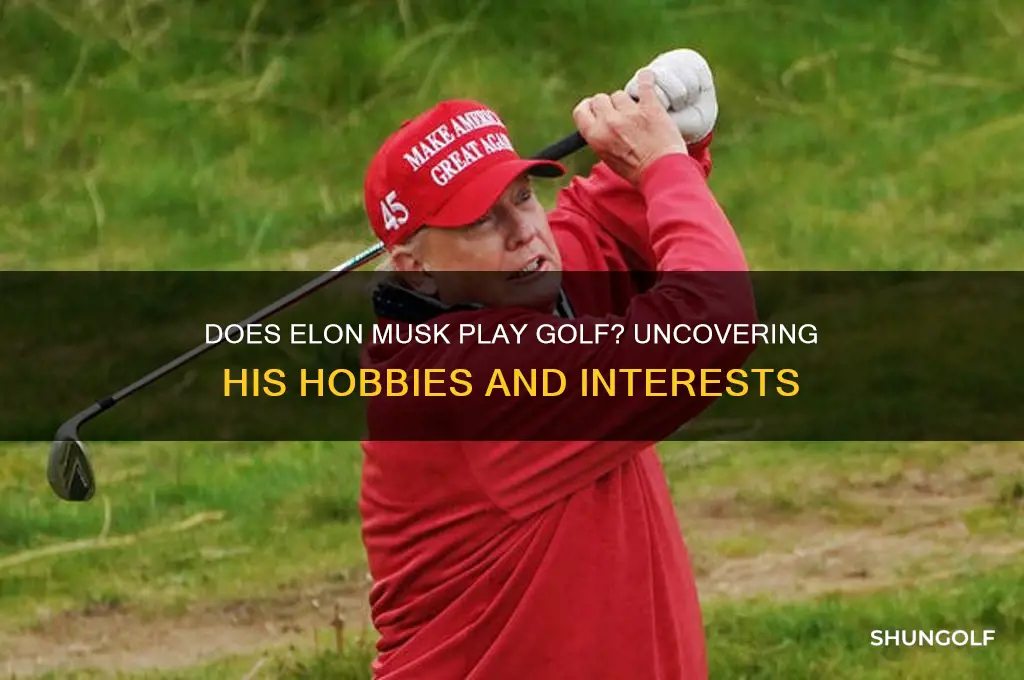 does musk play golf