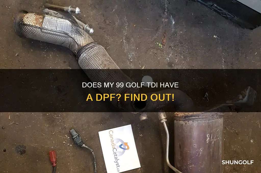 does my 99 golf tdi have dpf