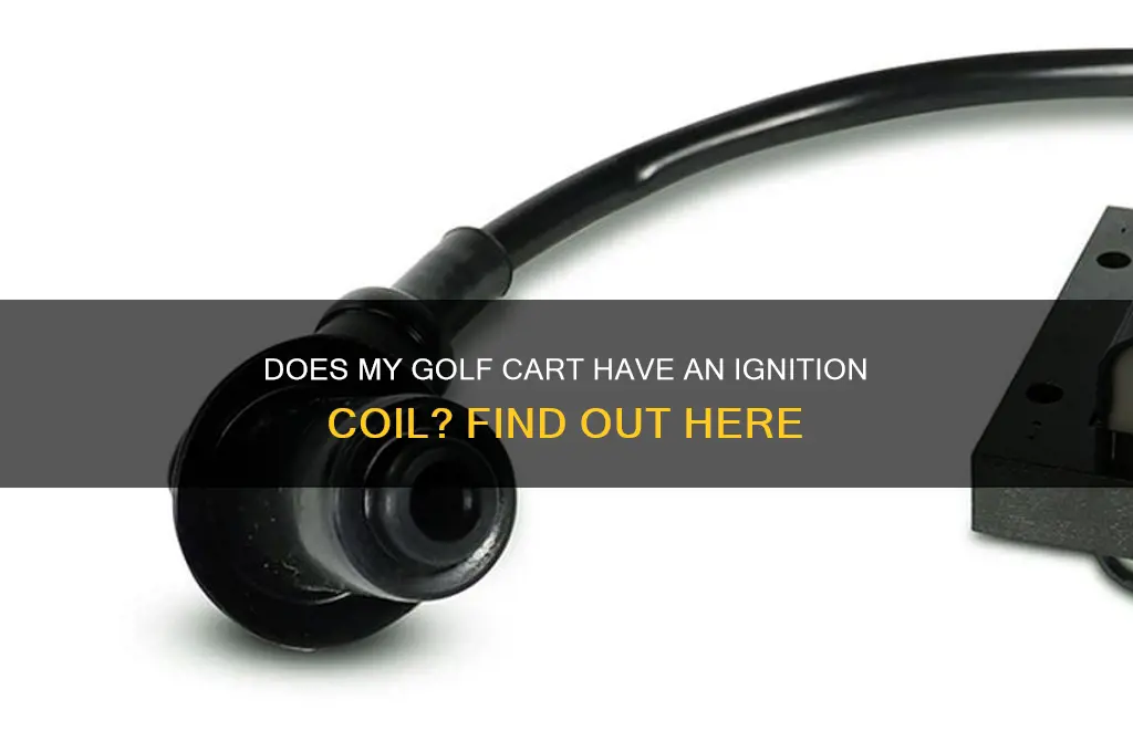 does my golf cart have igjition coil