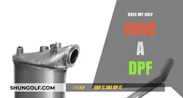 Golf's DPF Mystery: Does Your Model Have One?