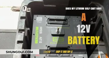 Understanding Your Lithium Golf Cart's 12V Battery System: A Guide