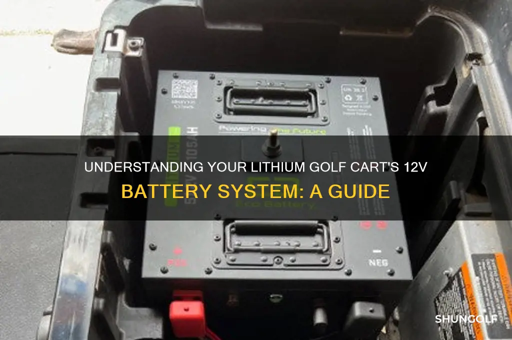 does my lithium golf cart have a 12v battery