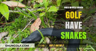 Myrtle Beach Golf Courses: Snake Havens?