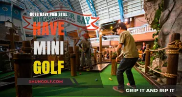 Is Mini Golf Still Available at Navy Pier? Find Out Here