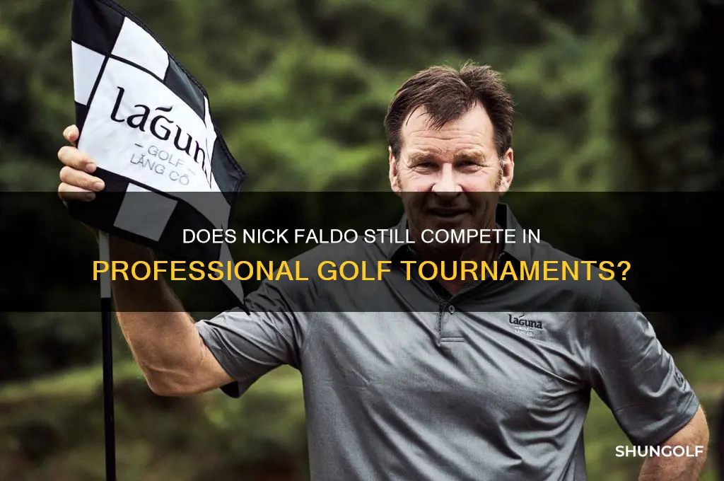 does nick faldo still play competitive golf