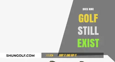 Nike Golf: Still in the Game?