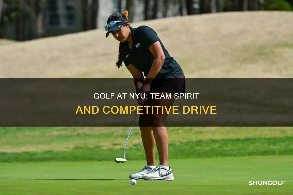 does nyu have a golf team