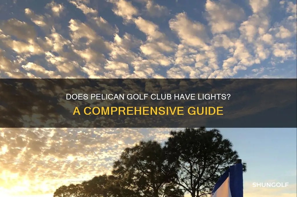 does pelican golf club have lights