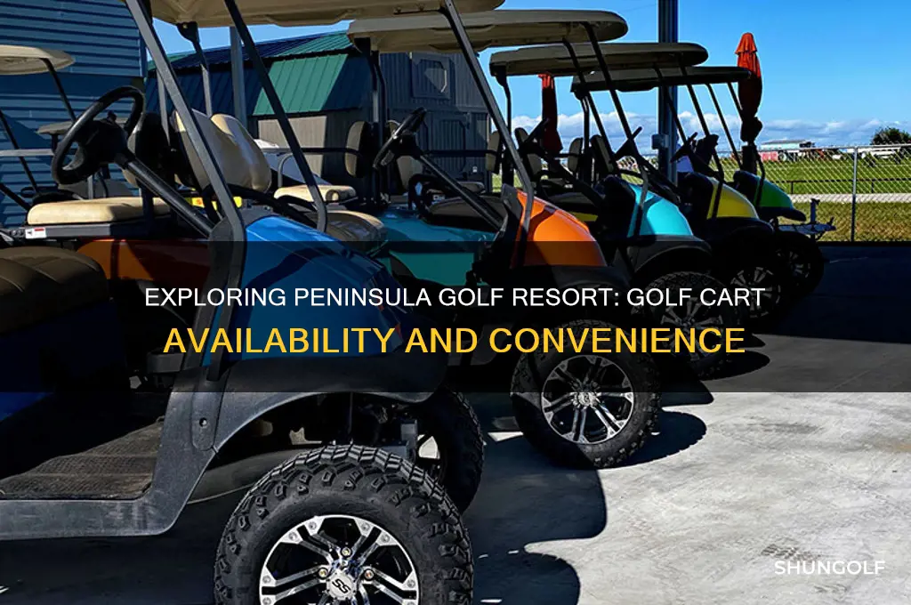 does peninsula golf resort have golf carts