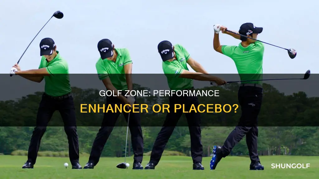 does performance golf zone work