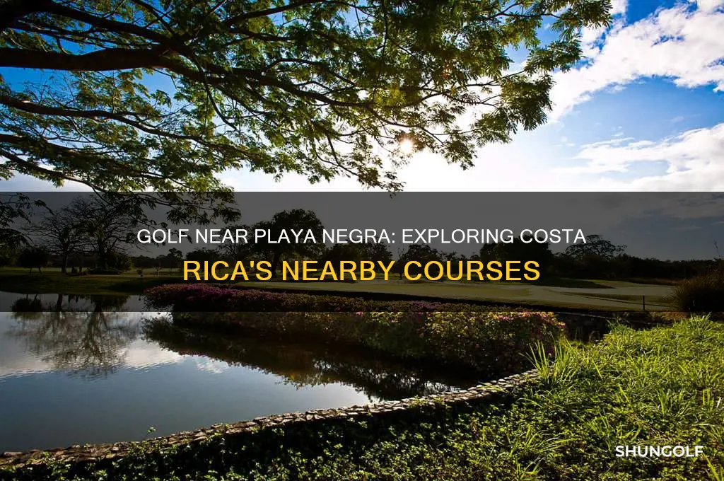 does playa negra costa rica have golf near by