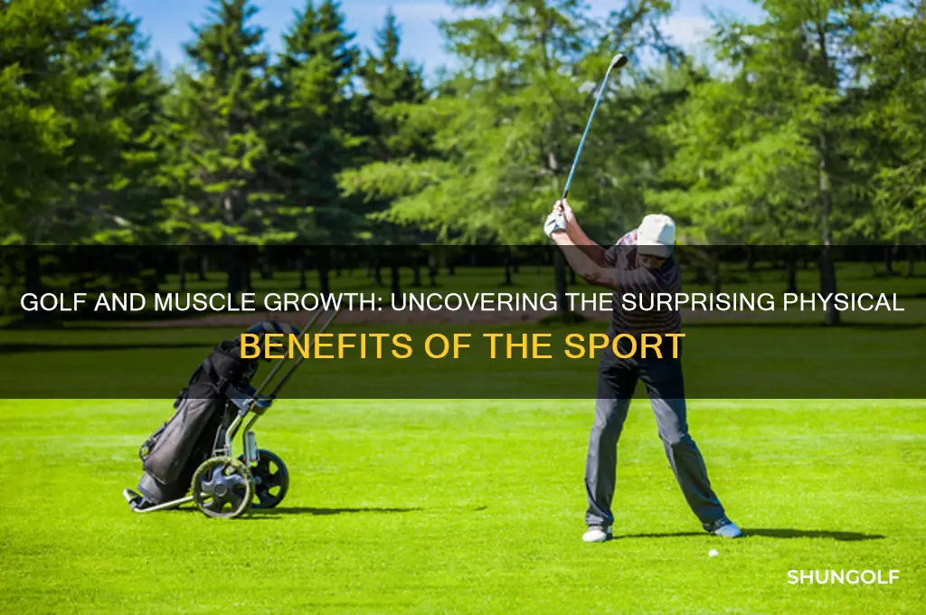does playing golf build muscle