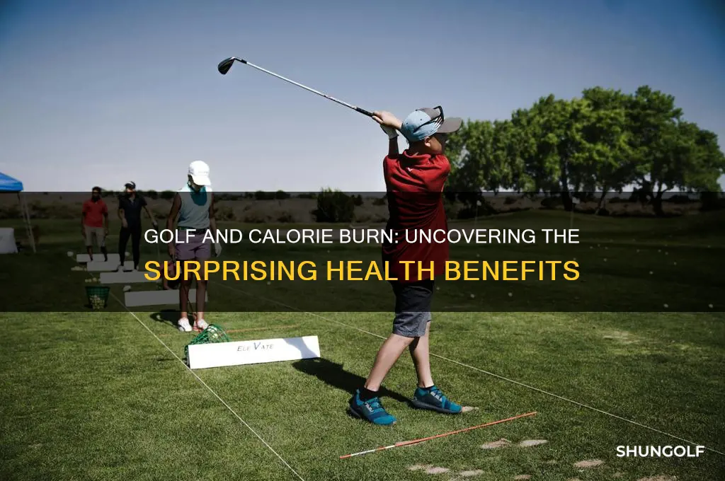 does playing golf burn calories