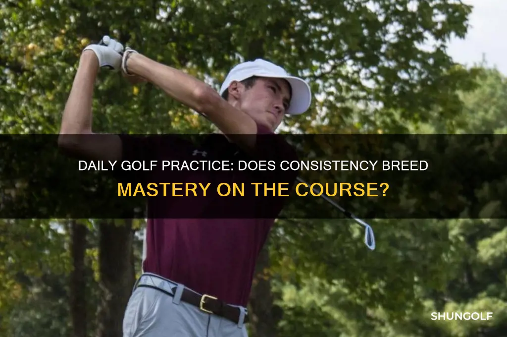 does playing golf everyday make you better
