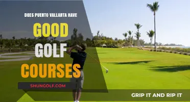 Discover Puerto Vallarta's Top Golf Courses: A Golfer's Paradise Awaits
