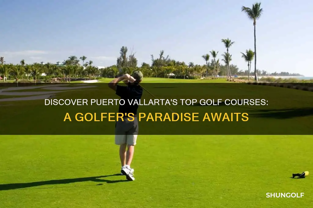 does puerto vallarta have good golf courses