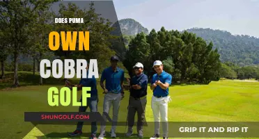 Puma's Cobra Golf: Ownership and Brand Identity