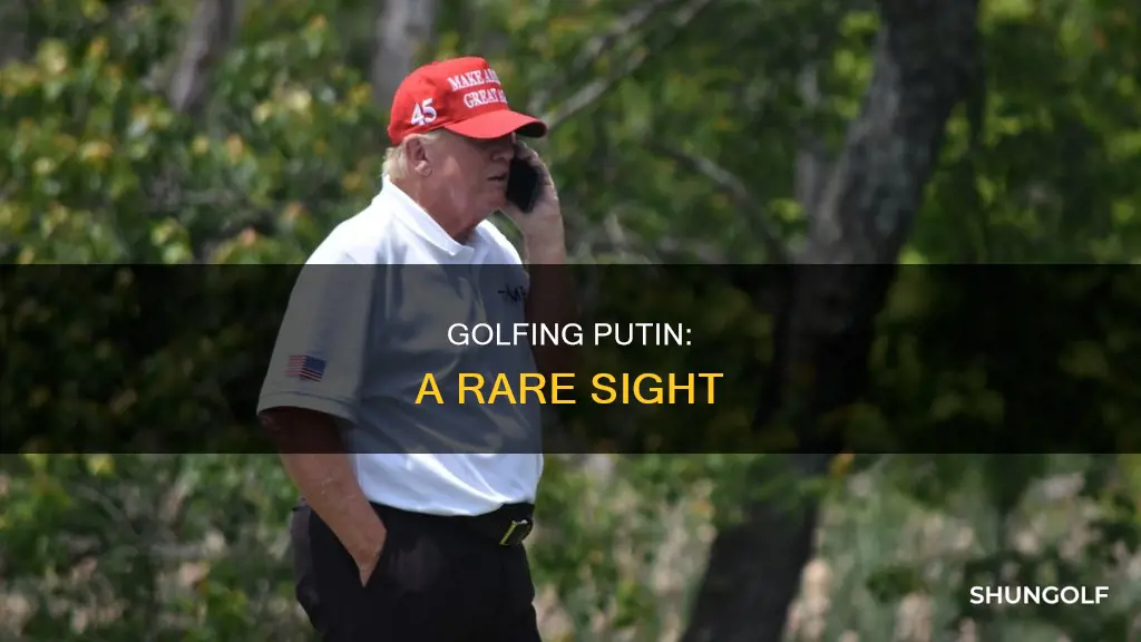 does putin golf