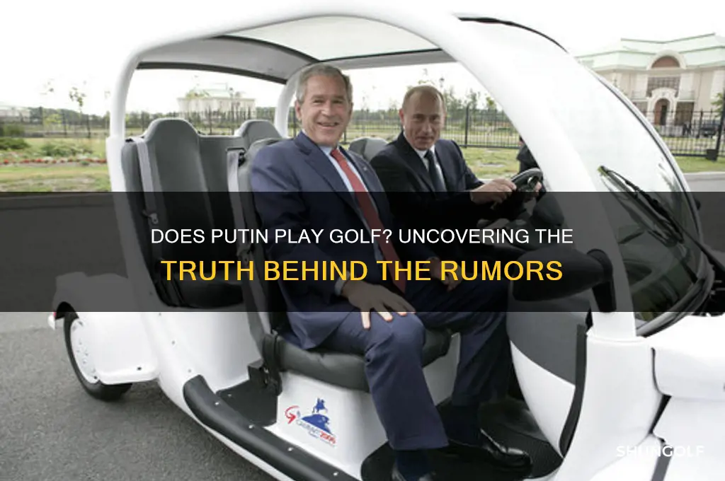 does putin play golf