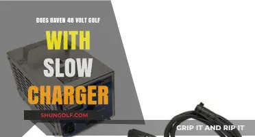 Raven 48V Golf Cart Slow Charger: Benefits, Efficiency, and Charging Tips