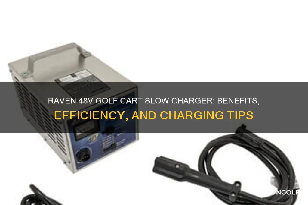 does raven 48 volt golf with slow charger