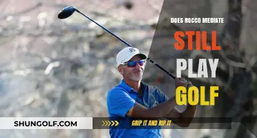 Is Rocco Mediate Still Active on the Golf Course?