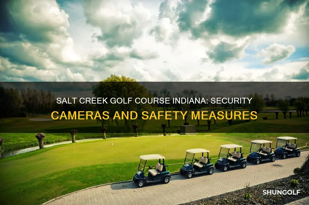does salt creek golf course indiana have security cameras