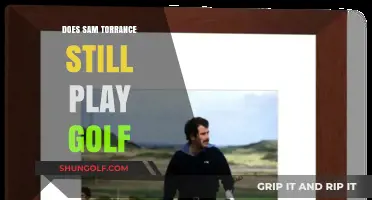 Does Sam Torrance Still Play Golf? Exploring His Current Involvement