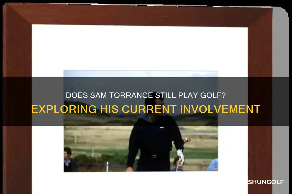 does sam torrance still play golf