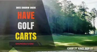 Does Shadow Creek Offer Golf Carts? Exploring the Course Amenities