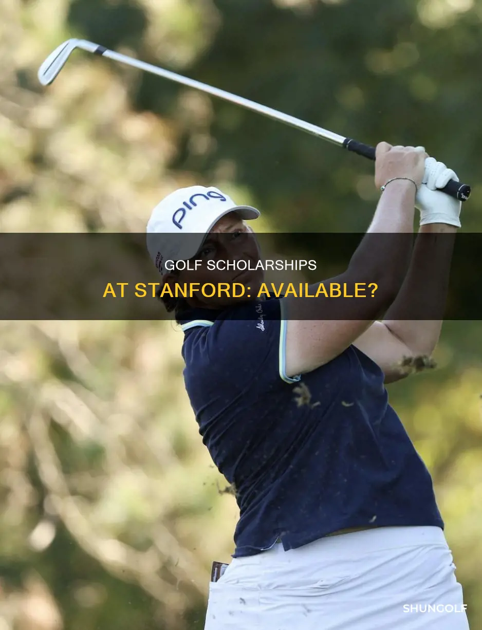 does stanford give golf scholarships