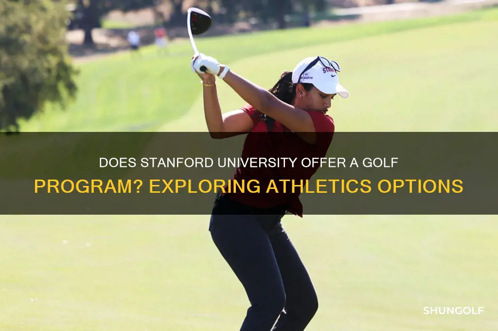 does stanford university offer a golf program