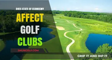 Economic Shifts: How Financial Trends Impact Golf Club Sales and Usage
