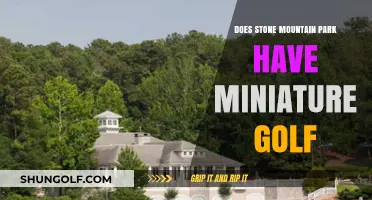 Stone Mountain Park's Miniature Golf: A Fun Family Activity?
