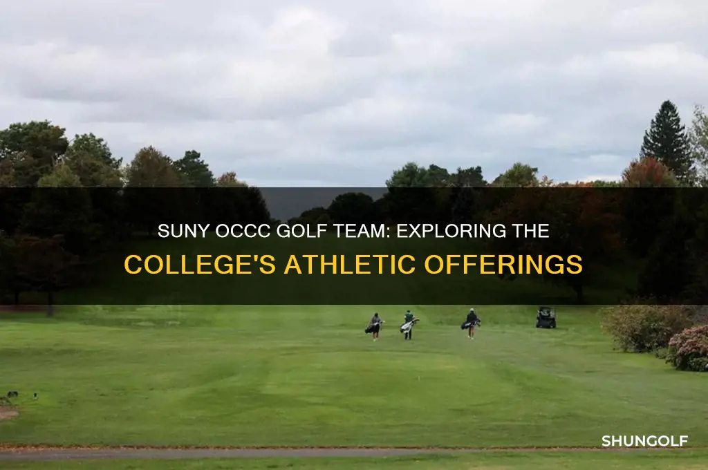 does suny occc have a golf team