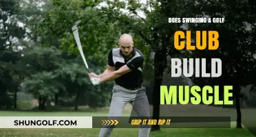 Swinging a Golf Club: Effective Muscle Builder or Just a Sport?