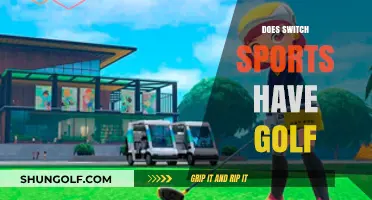 Golfing in Switch Sports: A Hole-in-One?