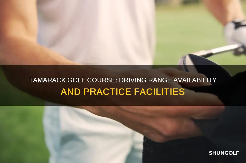 does tamarack golf course have a driving range