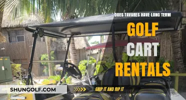 Long-Term Golf Cart Rentals in Tavares: Availability and Options