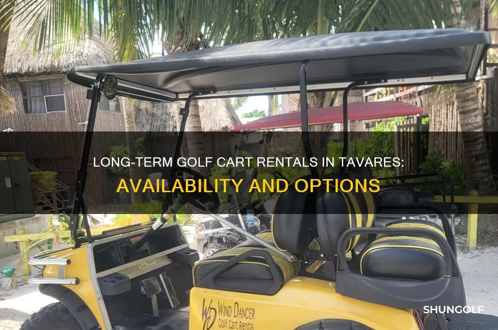 does tavares have long term golf cart rentals