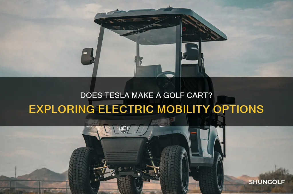 does tesla make a golf cart