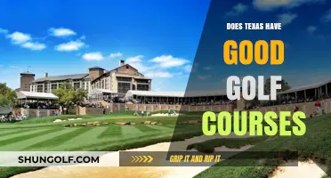 Texas Golf Courses: Are They Worth the Hype?