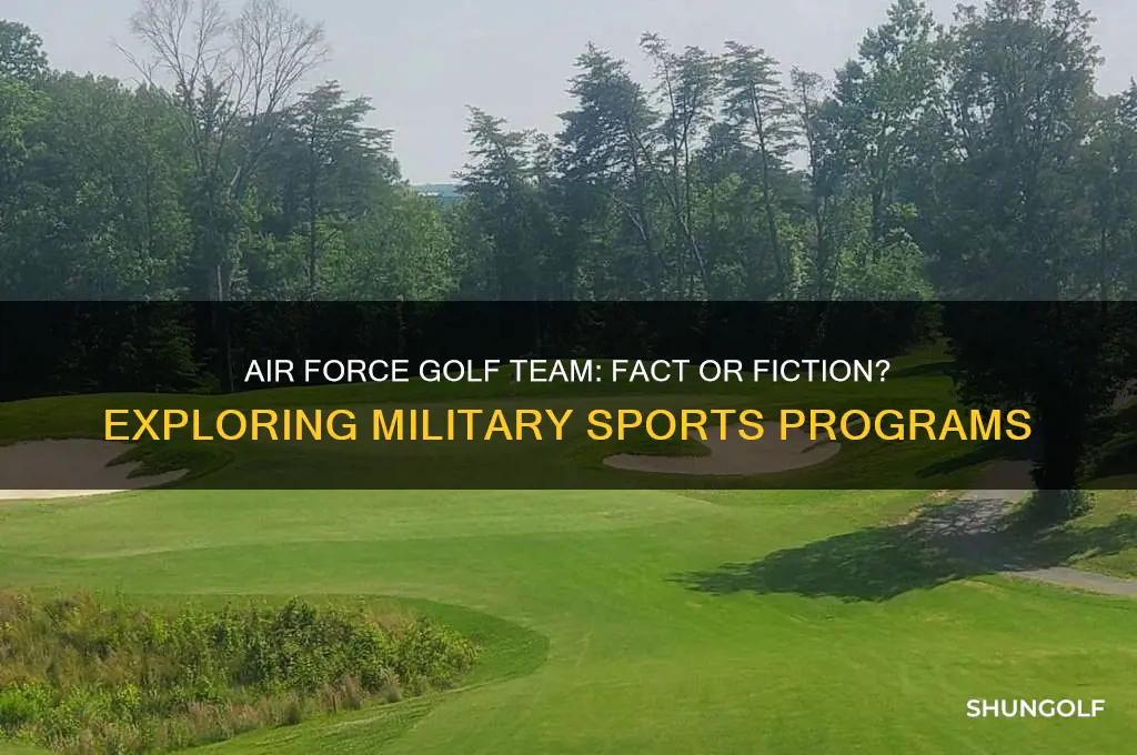 does the air force have a golf team