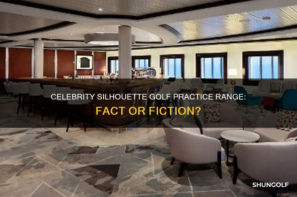 does the celebrity silhouette have a golf practice range