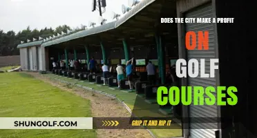 Do Golf Courses Boost City Profits? A Financial Analysis
