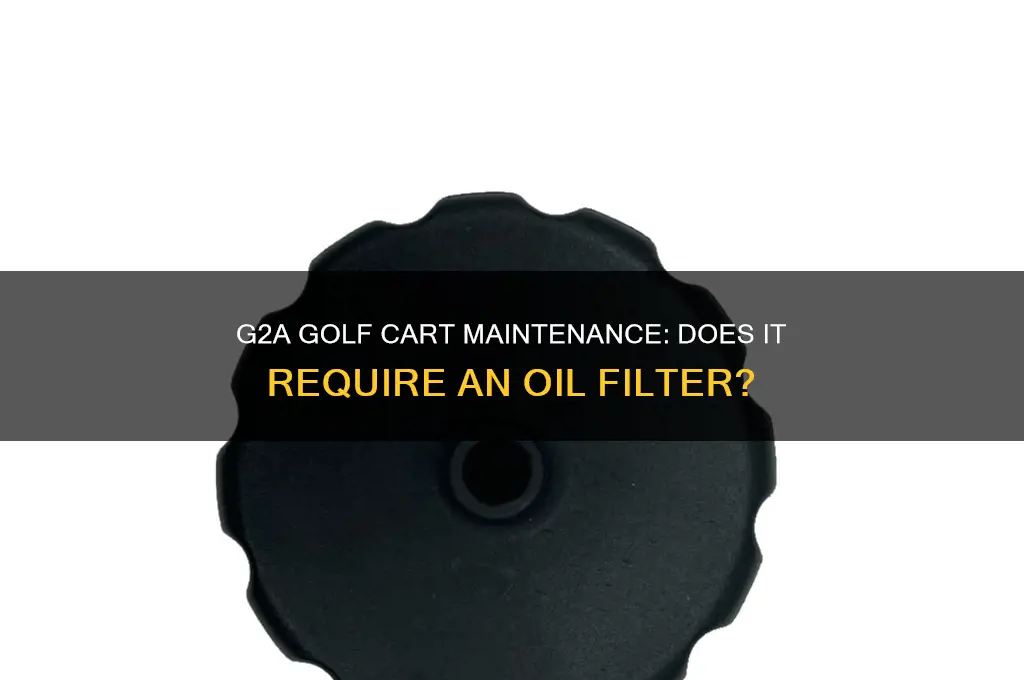 does the g2a golf cart have a oil filter