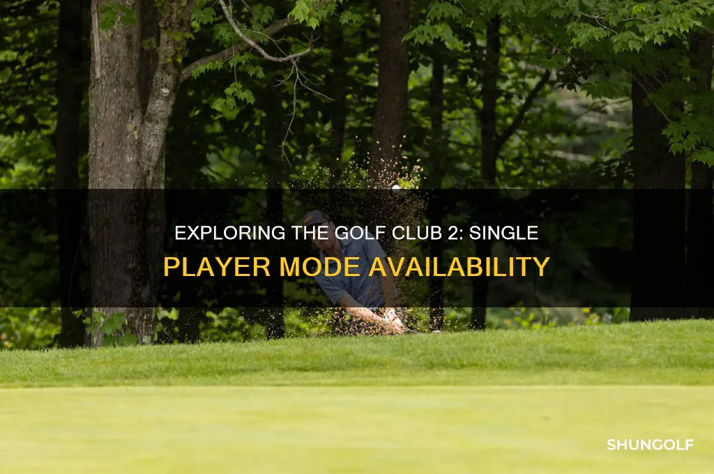 does the golf club 2 have single player